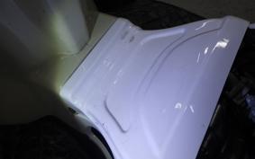 OTHER UNREGISTERED MODEL by BDS TRIKE125