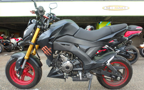 KAWASAKI Z125 PRO BR125H