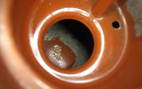 TRIUMPH BONNEVILLE T100 2007