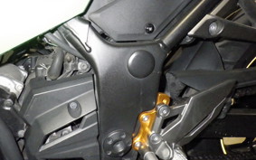 KAWASAKI NINJA 250 EX250L
