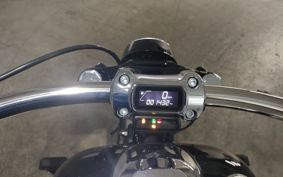HARLEY FXBR1920 2024 YEZ