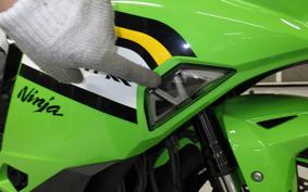 KAWASAKI ZX-4RR 2025 ZX400P