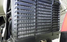 YAMAHA RZ250R 2024 29L