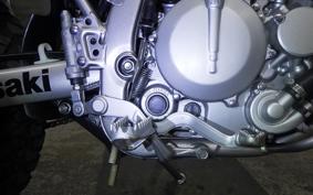 KAWASAKI KLX250 Gen.2 2021 LX250S