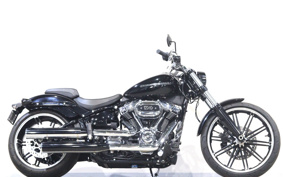 HARLEY FXBRS 2022 YHK