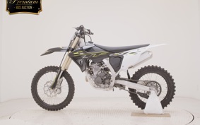 TRIUMPH TF250-X