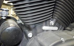 HARLEY XL1200NS 2019