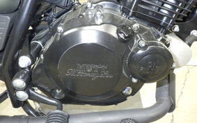 OTHER UNREGISTERED MODEL by BDS250 2021