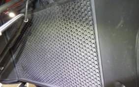 TRIUMPH TIGER 800 XC 2011