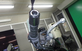 KAWASAKI Z900RS 2025 ZR900K
