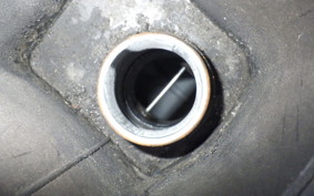 YAMAHA MAXAM 250 SG21J