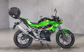 KAWASAKI Z250 SL BR250E