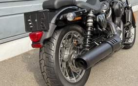 HARLEY  HARLEY RH975S NIGHT  STAR  2023 ZF1