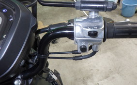 HONDA CROSS CUB 50 2025 AA06