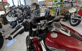 HARLEY FLSB 2019 YMJ