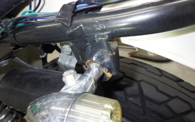 KAWASAKI 250TR 1996 BJ250F