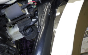 KAWASAKI 250TR 2024 BJ250F