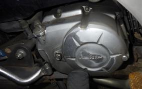 HONDA C50 SUPER CUB 2005 AA04