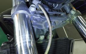 HONDA HORNET 250 MC31