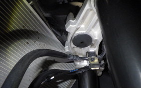 KAWASAKI NINJA 1000 SX 2021 ZXT02K