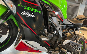 KAWASAKI NINJA ZX 25 2022 ZX250E