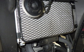 SUZUKI GSX250RA 2007