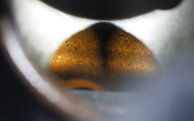 HONDA REBEL 250 MC49