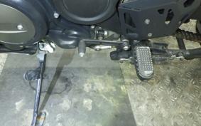 HARLEY ﾊﾟﾝ AMERICA1250S 2021