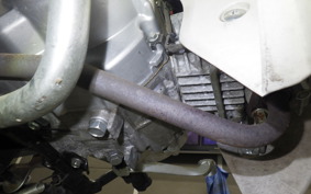 HONDA C110 SUPER CUB 2016 JA10