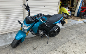 KAWASAKI Z125 PRO BR125H
