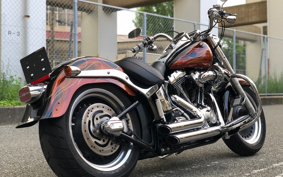 HARLEY FLSTF 2011 BX5