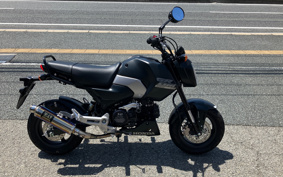 HONDA GROM JC92