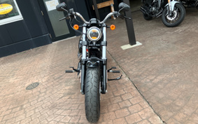 HARLEY XL1200XS 2019 LR3
