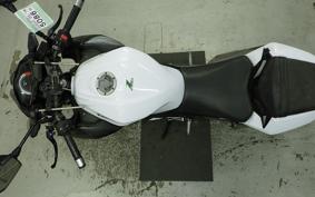 KAWASAKI Z250 2024 ER250C