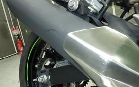 KAWASAKI NINJA 250 SL