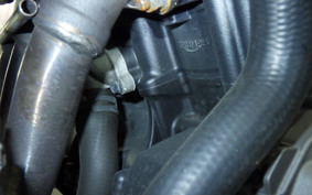 TRIUMPH STREET TRIPLE RS 2020