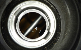 HONDA TODAY 2019 AF61