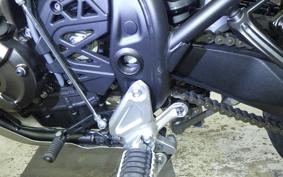 YAMAHA TENERE 700 2025 DM13J