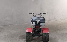 OTHER  TRIKE 110CC ..