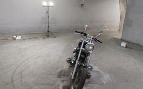 YAMAHA VIRAGO 250 3DM