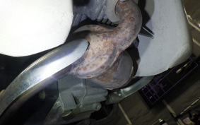 HONDA C50 SUPER CUB 2006 AA01