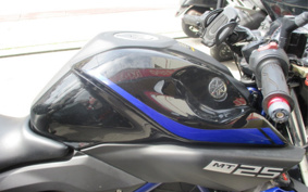 YAMAHA MT-25 RG43J