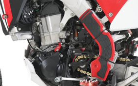HONDA CRF450L 2019 PD11