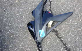 KAWASAKI NINJA 250 EX250L