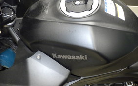 KAWASAKI Z250 Gen.2 1996 EX250P