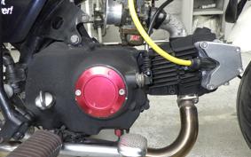 HONDA MONKEY 2013 Z50J
