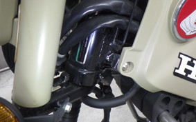 HONDA CT125 HUNTER CUB 2025 JA55