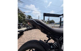 TRIUMPH TIGER SPORT 660 2025 L22U18