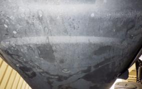 HONDA CREA SCOOPY 2024 AF55