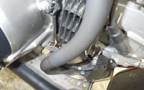 HONDA CT125 HUNTER CUB JA55